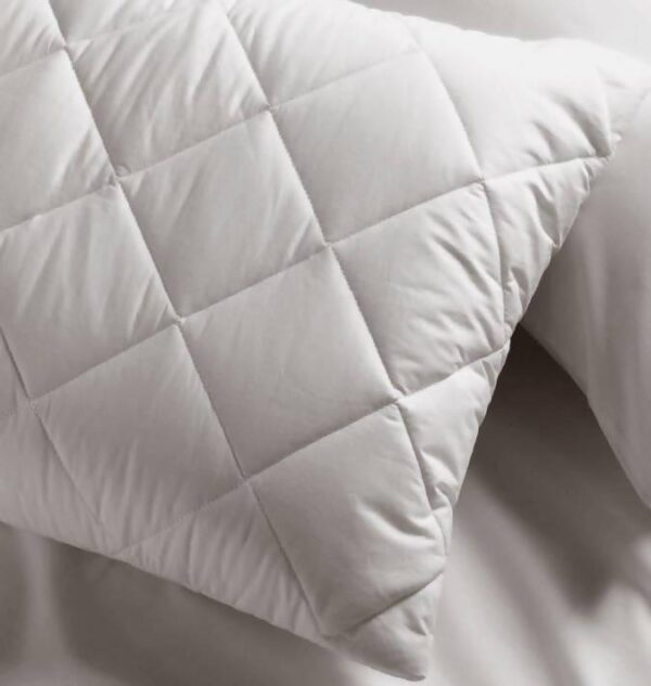 Gentelle -Pillow Protector - Image 2