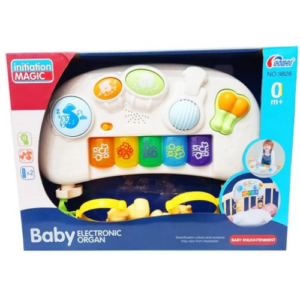 Baby Electronic Organ (9828)