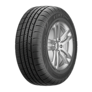 Fortune Thailand FSR 602 205/55R16 Tyre